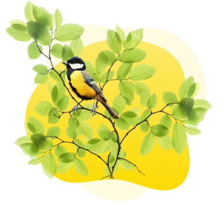 Единый семинар 1С для бухгалтеров и руководителей